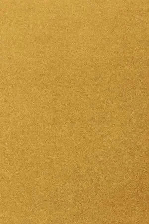 Ковровое покрытие AW Oinone 54 - (4м) в Набережных Челнах