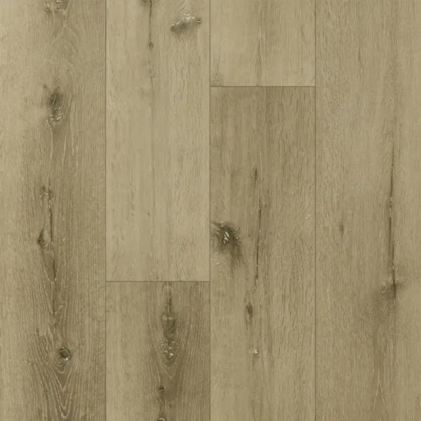 Fargo Bevel Дуб Кантри 50-1603_result