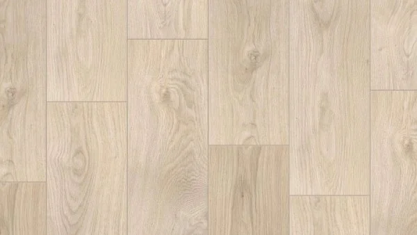 THH_CELEBRATION_St._Patrick