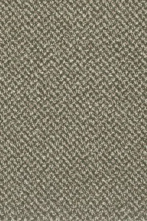 Ковровое покрытие AW Stainaway Tweed 24 - (4м) в Набережных Челнах
