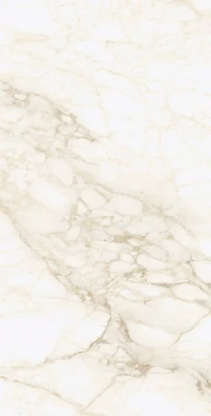 Керамогранит Coliseum Микеланджело Ворм 60х120 (Натуральный и Реттифицированный) в Набережных Челнах