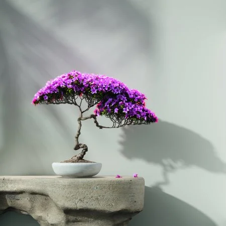 Обои Loymina Lotus LOT1 112 в Набережных Челнах