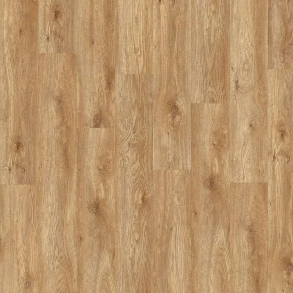 LVT-плитка Moduleo Roots Glue 0.55 EIR Sierra Oak 58346Q в Набережных Челнах