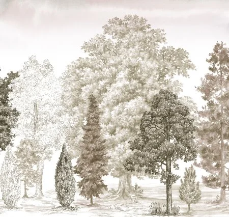 Обои Loymina Пейзаж vol. 2 ART14 012 в Набережных Челнах