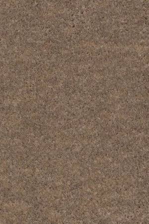 Ковровое покрытие AW Euphoria 36 - (4м) в Набережных Челнах