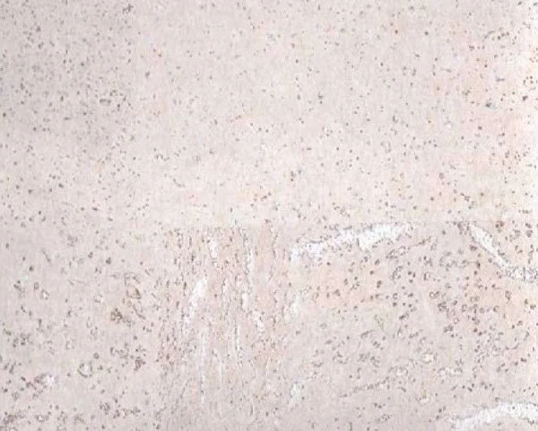 Настенное пробковое покрытие CorkArt PW 386 WS в Набережных Челнах