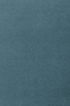 Ковровое покрытие AW Oinone 74 - (5м) в Набережных Челнах