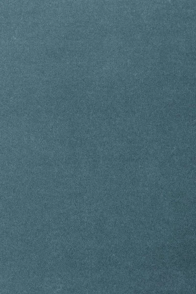 Ковровое покрытие AW Oinone 74 - (5м) в Набережных Челнах