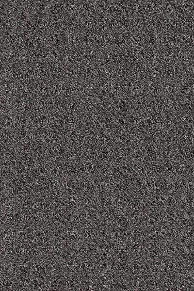 Ковровое покрытие AW Messalina 99 - (5м) в Набережных Челнах