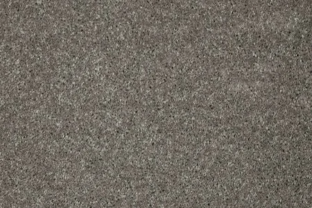 Ковровое покрытие AW Gala 94 - (5м) в Набережных Челнах