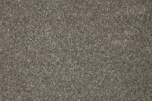 Ковровое покрытие AW Gala 94 - (5м) в Набережных Челнах