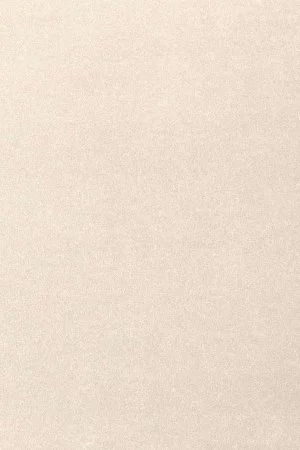 Ковровое покрытие AW Oinone 03 - (5м) в Набережных Челнах