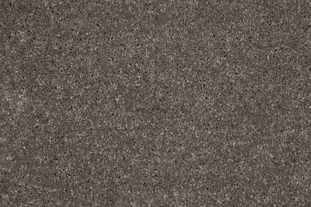 Ковровое покрытие AW Gala 49 - (4м) в Набережных Челнах