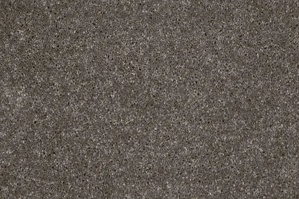 Ковровое покрытие AW Gala 49 - (4м) в Набережных Челнах