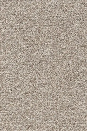 Ковровое покрытие AW Stainguard Harvest 04 - (4м) в Набережных Челнах