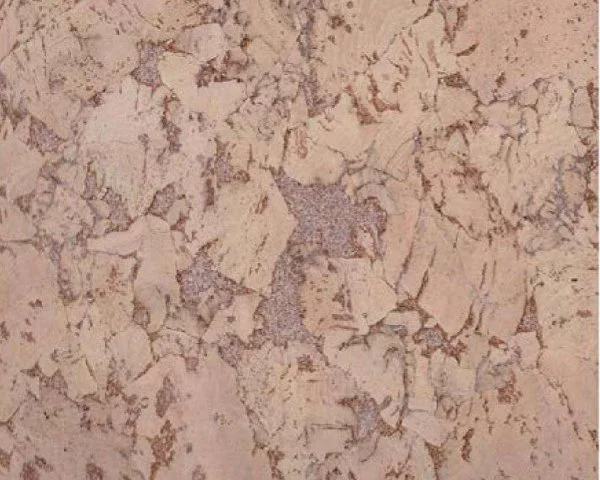 Настенное пробковое покрытие CorkArt PW 324 NK в Набережных Челнах