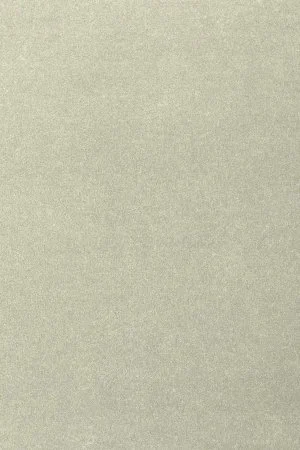 Ковровое покрытие AW Oinone 02 - (4м) в Набережных Челнах