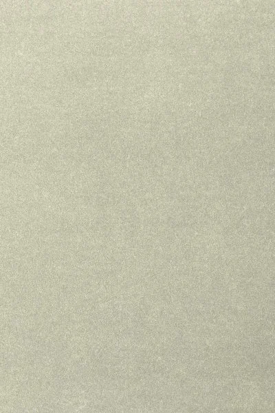 Ковровое покрытие AW Oinone 02 - (4м) в Набережных Челнах