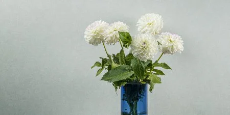 Обои Loymina Shade vol.2 SDR5, 001 в Набережных Челнах