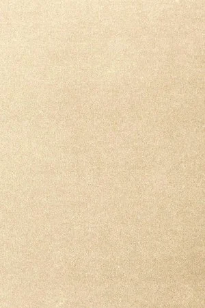 Ковровое покрытие AW Oinone 33 - (5м) в Набережных Челнах