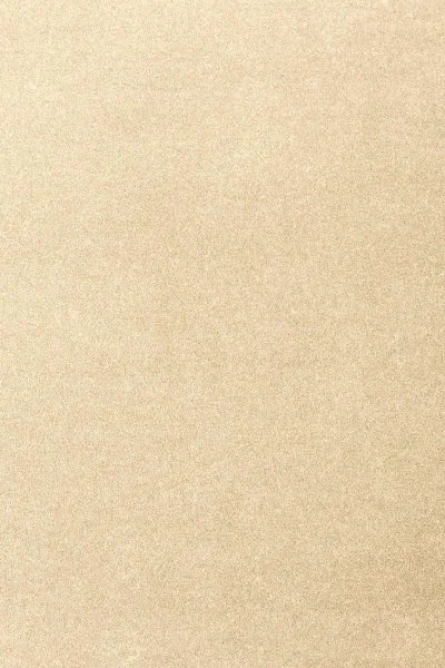 Ковровое покрытие AW Oinone 33 - (4м) в Набережных Челнах