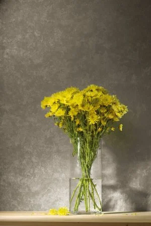 Обои Loymina Golden Library TDG 7, 008 в Набережных Челнах