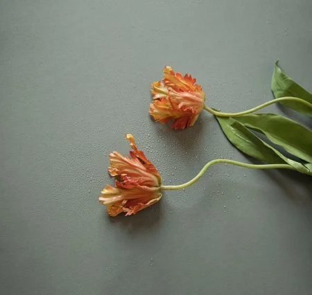 Обои Loymina Russian Classic Ru10, 006 в Набережных Челнах