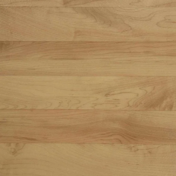 Спортивный линолеум Tarkett Omnisports Action 65 Cold Beech в Набережных Челнах