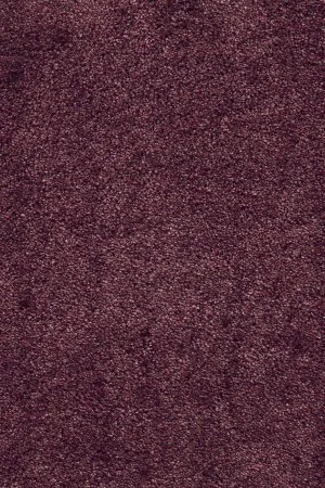 Ковровое покрытие AW Fedone 19 - (5м) в Набережных Челнах