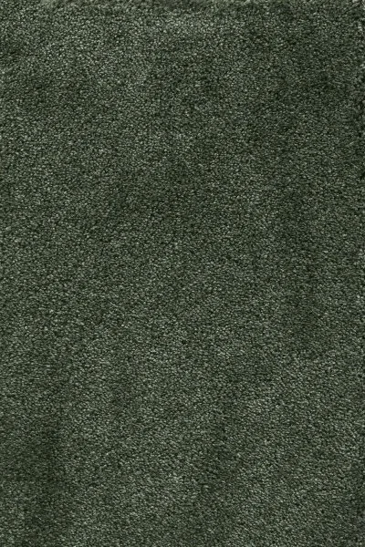 Ковровое покрытие AW Fedone 24 - (5м) в Набережных Челнах