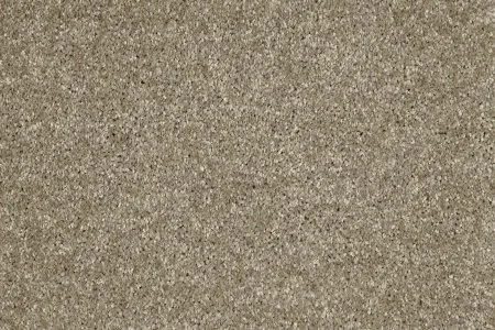 Ковровое покрытие AW Gala 33 - (5м) в Набережных Челнах