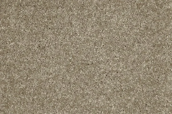 Ковровое покрытие AW Gala 33 - (4м) в Набережных Челнах