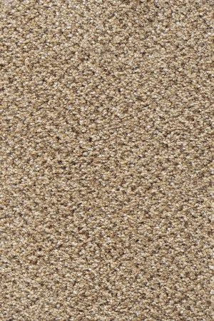 Ковровое покрытие AW Stainaway Tweed 50 - (4м) в Набережных Челнах