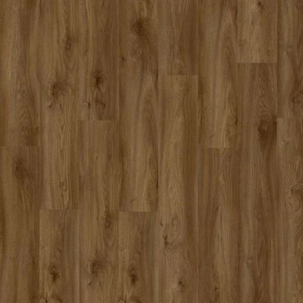 LVT-плитка Moduleo Roots Glue 0.55 EIR Sierra Oak 58876Q в Набережных Челнах