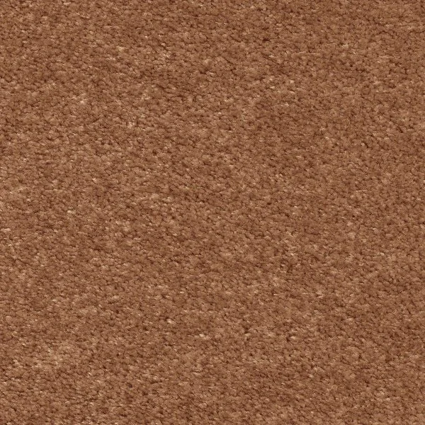 Ковровое покрытие AW Euphoria 84 - (5м) в Набережных Челнах