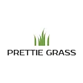 Искусственная трава Prettie Grass купить в Набережных Челнах по выгодной цене Искусственная трава Prettie Grass в Набережных Челнах