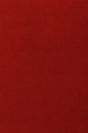 Ковровое покрытие AW Oinone 10 - (4м) в Набережных Челнах