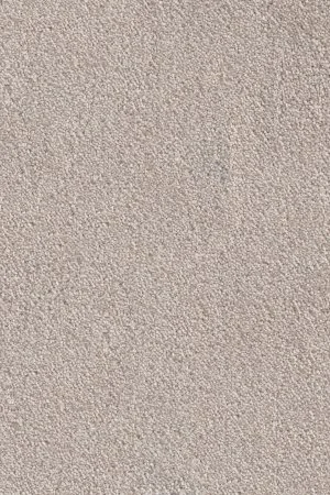 Ковровое покрытие AW Messalina 37 - (5м) в Набережных Челнах