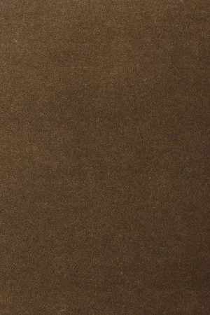 Ковровое покрытие AW Oinone 44 - (5м) в Набережных Челнах