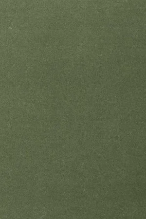 Ковровое покрытие AW Oinone 24 - (4м) в Набережных Челнах