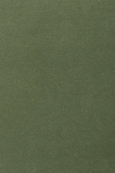 Ковровое покрытие AW Oinone 24 - (4м) в Набережных Челнах