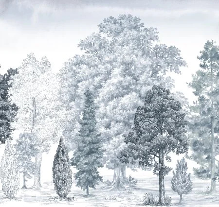 Обои Loymina Пейзаж vol. 2 ART14 006 в Набережных Челнах