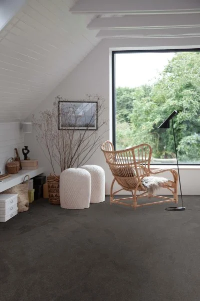 Ковровое покрытие AW Ganges 99 - (4м) в Набережных Челнах