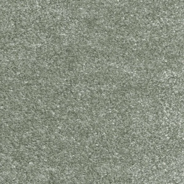 Ковровое покрытие AW Euphoria 28 - (5м) в Набережных Челнах