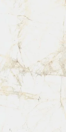 Керамогранит Coliseum Канова Уайт 60х120 (Натуральный и Реттифицированный) в Набережных Челнах