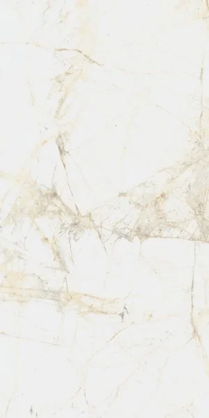 Керамогранит Coliseum Канова Уайт 60х120 (Натуральный и Реттифицированный) в Набережных Челнах