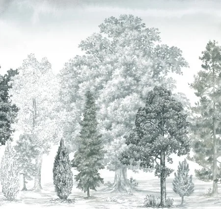 Обои Loymina Пейзаж vol. 2 ART14 011 в Набережных Челнах