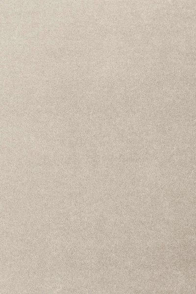 Ковровое покрытие AW Oinone 39 - (4м) в Набережных Челнах