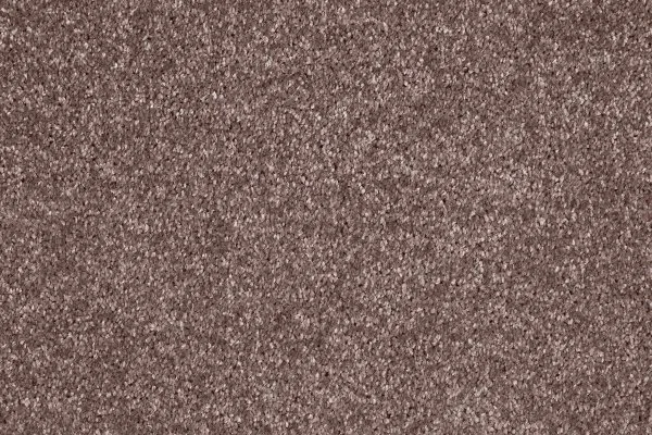 Ковровое покрытие AW Gala 60 - (5м) в Набережных Челнах