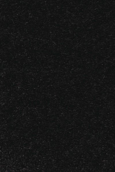 Ковровое покрытие AW Euphoria 99 - (5м) в #REGION_NAME_DECLINE_PP#